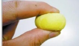 吃瓜的各种简称