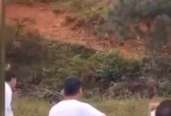 新娘 伴郎 吃瓜