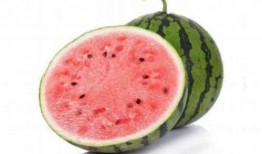 麒麟瓜可以直接吃吗