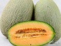 吃哈密瓜方法,解锁夏日清新美味
