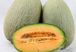 吃哈密瓜方法,解锁夏日清新美味