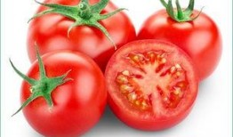 番茄吃瓜文推荐,一场味蕾的盛宴