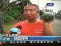 热门事件吃瓜 2023,吃瓜群众围观大揭秘