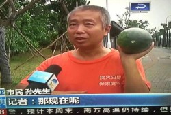 热门事件吃瓜 2023,吃瓜群众围观大揭秘