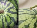 香港最新吃瓜,明星幕后故事大曝光