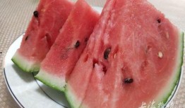 上海理工吃瓜,一场“吃瓜”事件背后的真相揭秘