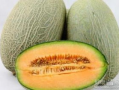 吃哈密瓜方法,解锁夏日清新美味