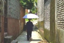 郑州吃瓜亭子事件,揭秘网络热议背后的真相