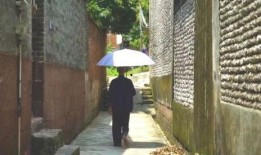 郑州吃瓜亭子事件,揭秘网络热议背后的真相