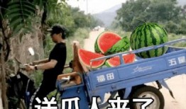 吃瓜摸鱼,网络时代的休闲新风尚