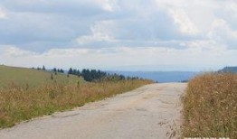 梦到自己摘瓜吃,瓜熟蒂落，美味共享