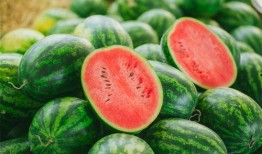 茄子sp吃瓜网址,带你领略网络娱乐新风尚