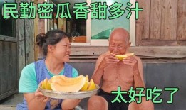 吃哥哥的瓜,吃哥哥的瓜，探寻明星背后的故事
