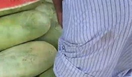 曲阳大瓜吃瓜群众,揭秘吃瓜群众的狂欢盛宴