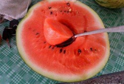 吃瓜网看看,娱乐圈最新热点事件大追踪