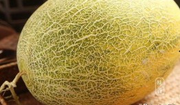 吃哈密瓜方法,解锁夏日清新美味