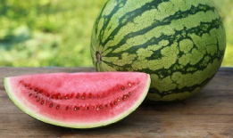 吃瓜变瓜人,人生百态的寓言之旅