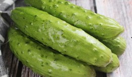 山东嫩瓜怎么吃,解锁夏日清新口感