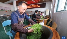 长兴和平镇吃瓜,瓜果飘香，品味田园生活