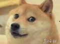 吃瓜改吃狗头表情包,表情包文化的演变与流行