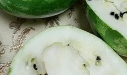 东北和台北吃瓜,两地吃瓜文化的碰撞与交融