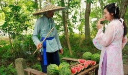 在路上怎么吃瓜,旅途中的美味瓜果时光