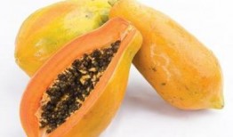 成都男人吃瓜,瓜界新势力，品味生活新风尚