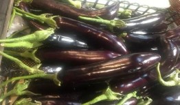 茄子sp吃瓜网址,带你领略网络娱乐新风尚