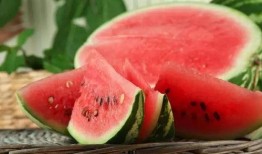 芯动基地吃瓜,揭秘科技园区里的“吃瓜”风云