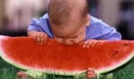 吃瓜潮玩社,揭秘潮流玩具背后的故事与魅力