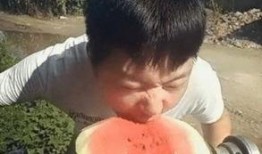 电钻吃瓜,揭秘新型创意烹饪潮流