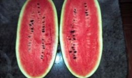 吃黑美人瓜,夏日消暑佳品，品味健康生活