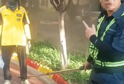 吃瓜视频保安小哥,揭秘瓜界风云人物