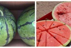 学习吃瓜的方法,掌握社交乐趣的秘诀