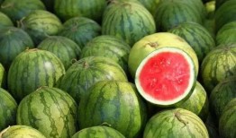 吃瓜不能用勺子吃吗图片,揭秘吃瓜为何不宜用勺子的趣味解读