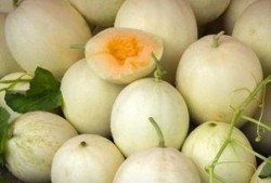 吃白兰瓜舌头出血,舌尖上的甜蜜与挑战