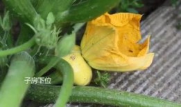 成长吃瓜,青少年心理成长记