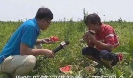 借东西吃瓜,一场别开生面的“吃瓜”之旅