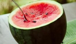 吃瓜升血糖不,吃瓜升血糖？揭秘瓜果对血糖的影响