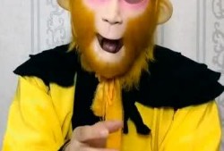 孙悟空吃瓜特效,趣味横生的奇幻之旅