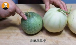 吃甜瓜的瓜不甜,揭秘瓜果口感背后的秘密