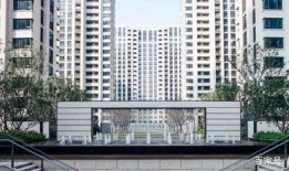 杭州楼市扫码吃瓜,一扫码，瓜分房价优惠的秘密