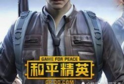 吃瓜王和平精英