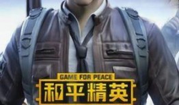 吃瓜王和平精英