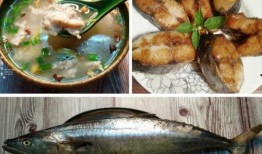 鲛瓜怎么吃,从传统到创新的美味之旅