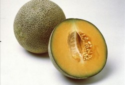 甜蜜吃瓜是什么生肖