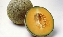 甜蜜吃瓜是什么生肖