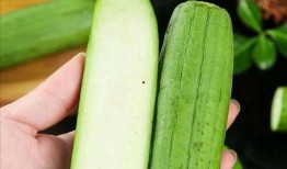 吃瓜蜜瓜上火吗,蜜瓜美味却易上火？揭秘吃瓜蜜瓜的注意事项