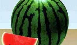 吃瓜网看看,娱乐圈最新热点事件大追踪