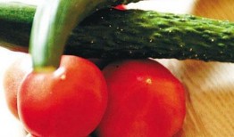 番茄吃瓜文,一场别开生面的美食之旅